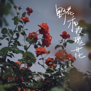 卡迪哥《野花和玫瑰花》[MP3_LRC]_MP3免费下载