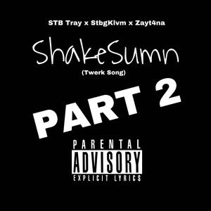 ShakeSumn P2 (feat. Zayt4na & Stbg_Klvm) (Summer Anthem)