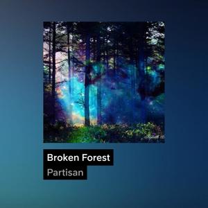 Broken Forest