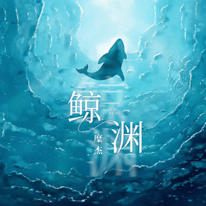 鲸渊