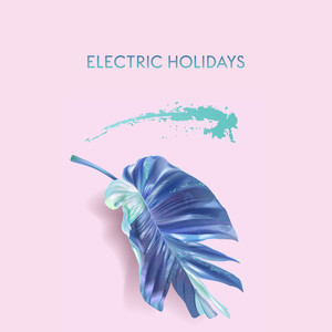 Electric Holidays