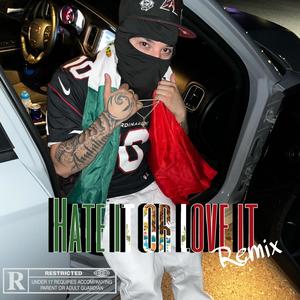 Hate it or love it (Freestyle) (feat. AYoungin) [Explicit]