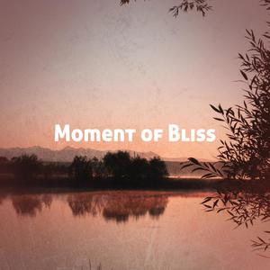 Moment of Bliss