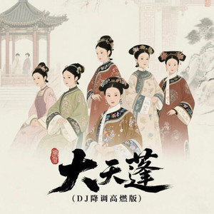 大天蓬 (DJ高燃版)