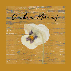 Ciebie Mniej