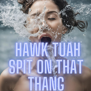 Hawk Tuah Spit on that Thang