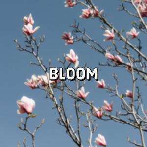 bloom (Explicit)