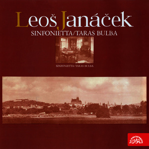 Sinfonietta: II. Andante