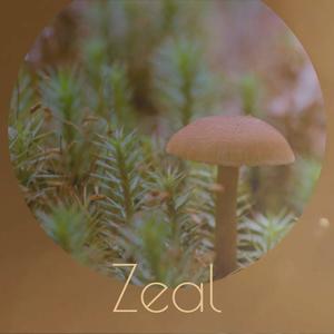 Zeal