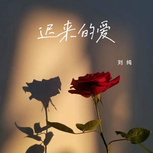 迟来的爱-刘纯