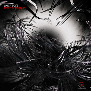 LIKE A BOSS (Original Mix)