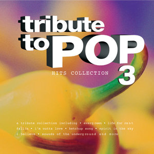 Tribute to Pop - Hits Collection 3