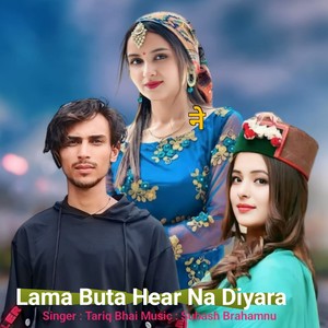 Lama Butta Hear Na Diyara