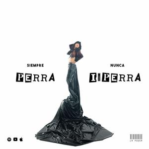 Siempre Perra Nunca In Perra (Explicit)