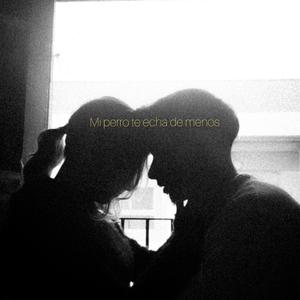 Mi perro te echa de menos