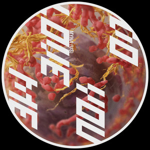 Do You Love Me (Original Mix)