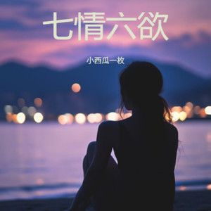 七情六欲