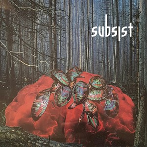 My Mantra (Original Mix)