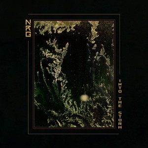 Into the Storm (feat. Marysia Osu, Lyle Barton, James Akers, Daniel Casimir & Tilé Gichigi-Liperé)