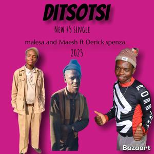 Ditsotsi