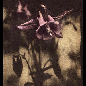 a little cold just like fall.