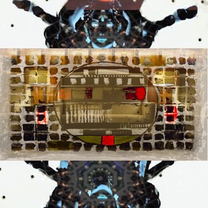 Collored Blue (Explicit)