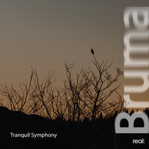 Tranquil Symphony