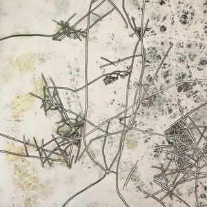 birds or flying fish