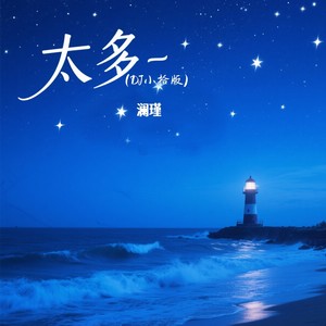 太多 (DJ小拾版伴奏)