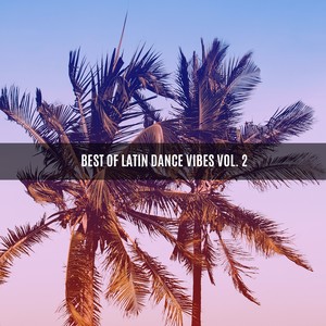 BEST OF LATIN DANCE VIBES VOL. 2