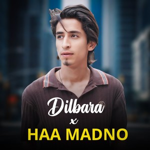 Dilbara Haa madno