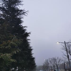 断桥记