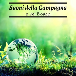 Suoni della campagna e del bosco – Suoni della natura per il buonumore