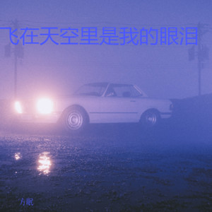 雨纷飞 (青春女声版)