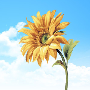 God Be With You Till We Meet Again