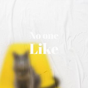 No one Like