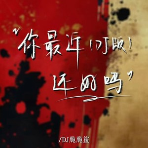 你最近还好吗 (DJ小鬼)