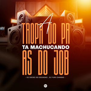 A Tropa do Pr Ta Machucando as do Job (Explicit)