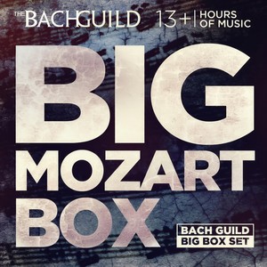 Horn Concerto No. 1 in D Major, K. 412: i. Allegro