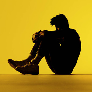 Picket Fences (Explicit)