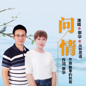 问情