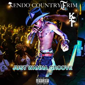 Just Wanna Groove