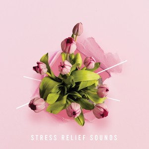 13 Stress Relief Sounds of Nature Ambient