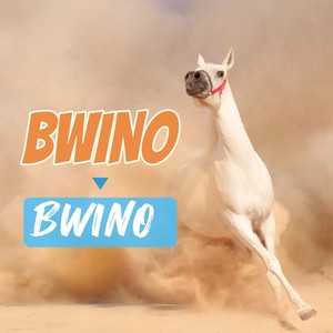 Bwino Bwino