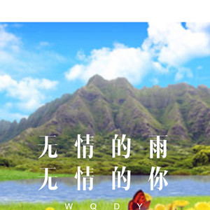 无赖 (DJ版)