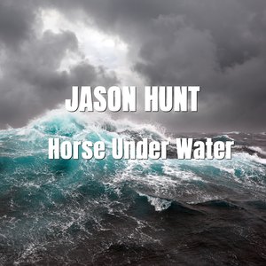 Horse Under Water