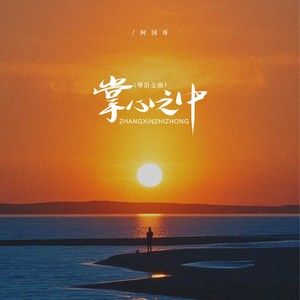 掌心之中 (DJ默涵粤语金曲)