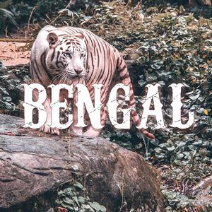 BENGAL