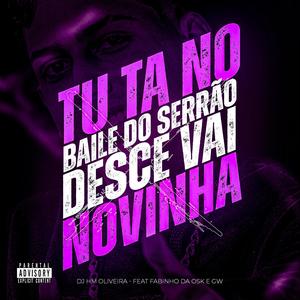 Tu tá no Baile do Serrão x Desce Vai Novinha (feat. Mc Fabinho Osk & Mc Gw) (Explicit)