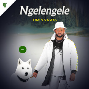 Bewuvele Ungenathando